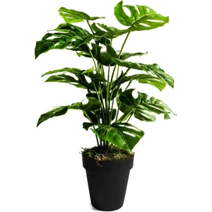 Yapay Ağaç Salon Bitkisi Monstera 70 cm 18 Yaprak Antrasit Saksıda