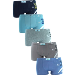 Erkek Çocuk Boxer 5'li Paket Karışık Renk Baskılı Boxer