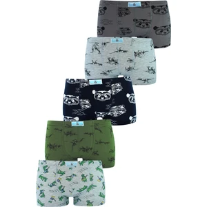 Erkek Çocuk Boxer 5'li Paket Karışık Renk Baskılı Boxer