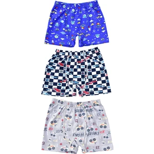 Erkek Çocuk 254 Desenli 3'lü Boxer Karışık Renk