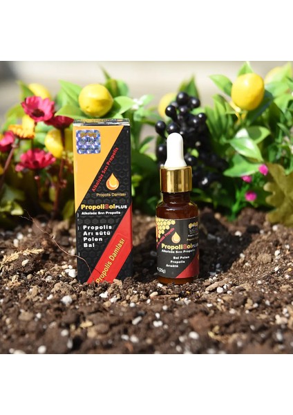Propolisol Plus Alkolsüz Propolis Damlası 30 ml