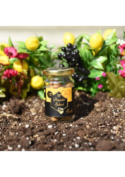 Propolis Şekeri Sade 60 gr fiyatları