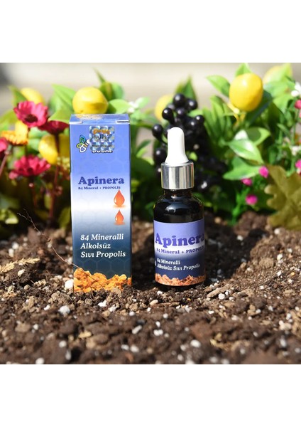 Apinera 84 Mineralli Propolis Damlası 30 ml