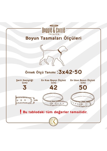 Köpek Tasması Kırmızı Köpek Boyun Tasması Small
