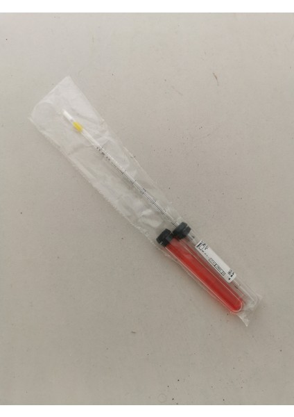Termometre Yapım Seti