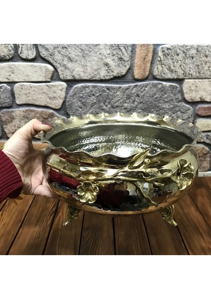 Japon Güllü Bakır Meyvelik Küçük