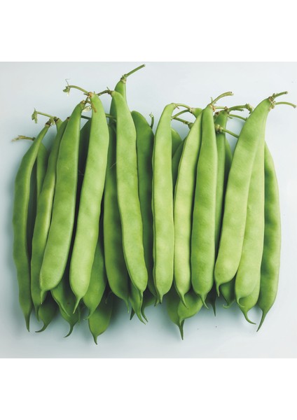 Asya Bodur Fasülye Tohumu 2 kg 2025 Üretim
