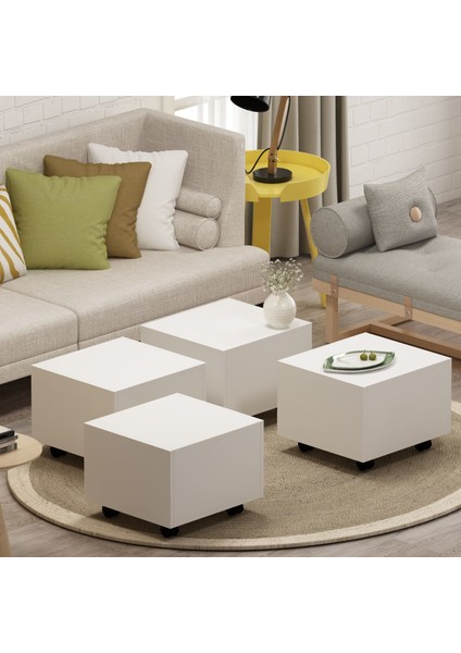 Sayra Orta Sehpa fiyatları