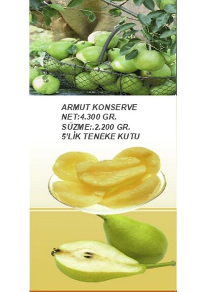 Armut Konservesi