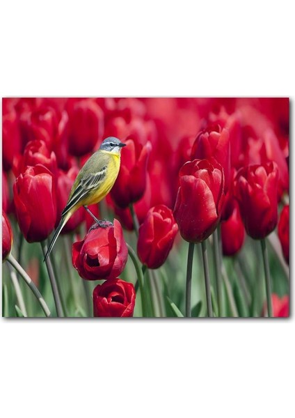 Cakatablo Ahşap Tablo Kırmızı Gelincikler Üzerindeki Sarı Kuş