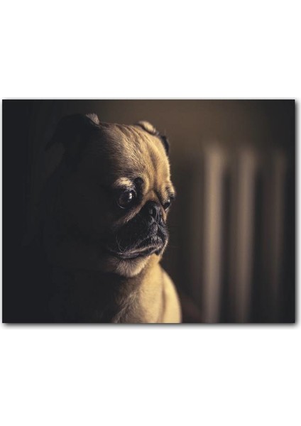 Cakatablo Ahşap Tablo Pug Köpek Cinsi Görseli
