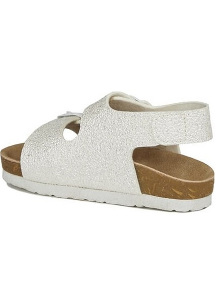 321.F21Y.364 Vicco Last 31-36 modelleri