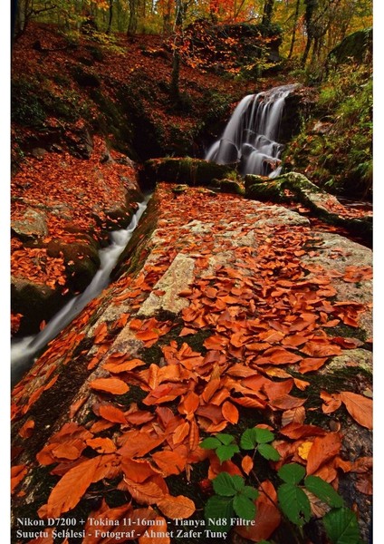 Nikon D3000 D3100 D3200 18-55MM Lens Için 52MM Xs-Pro Slim Nd8 Uzun Pozlama Nd Filtre (3 Stop)