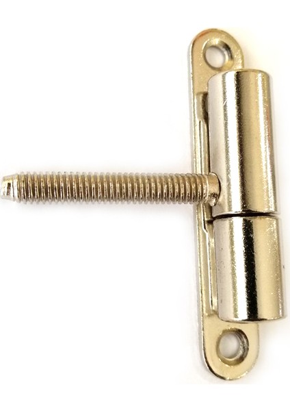 Nikel Saten Menteşe