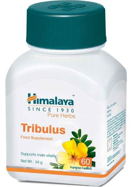 Tribulus 60 Kapsul Ttribulus Terrestris Gokshura