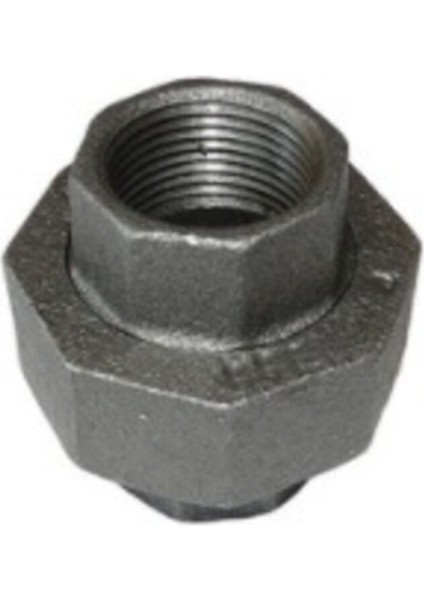 Konik Rekor Siyah