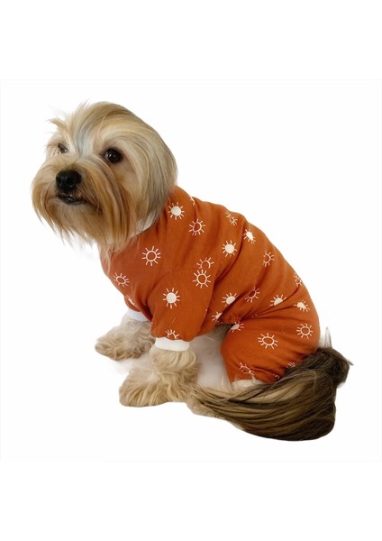 Sunny Penye Tulum Köpek Tulumu Köpek Elbisesi fırsatları