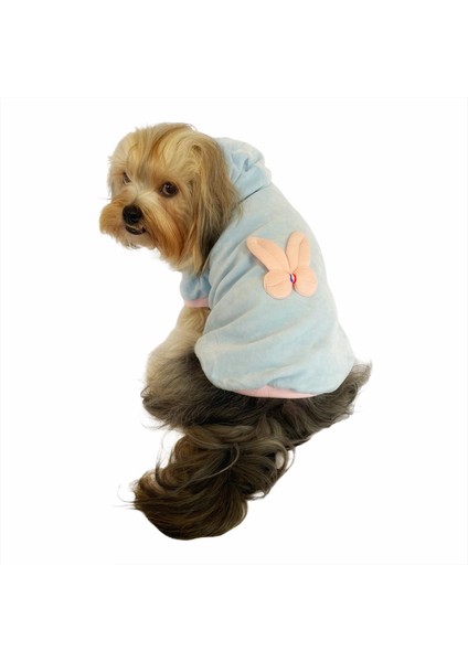 Blue Pink Bunny Kapşonlu Sweat By Kemique Köpek Kazağı