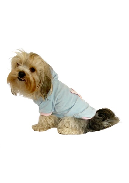 Blue Pink Bunny Kapşonlu Sweat By Kemique Köpek Kazağı fiyatları