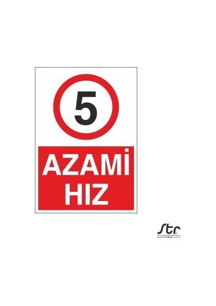 Azami Hız 5 20 x 30 cm