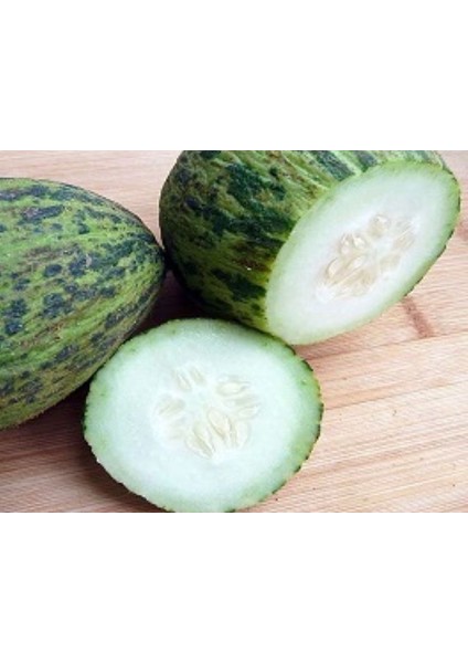 Akgen Kelek Hıdır Tohumu Aksel 10 gr