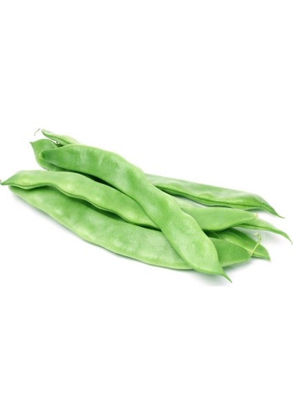 Ayşe Kadın Taze Fasulye 3 kg