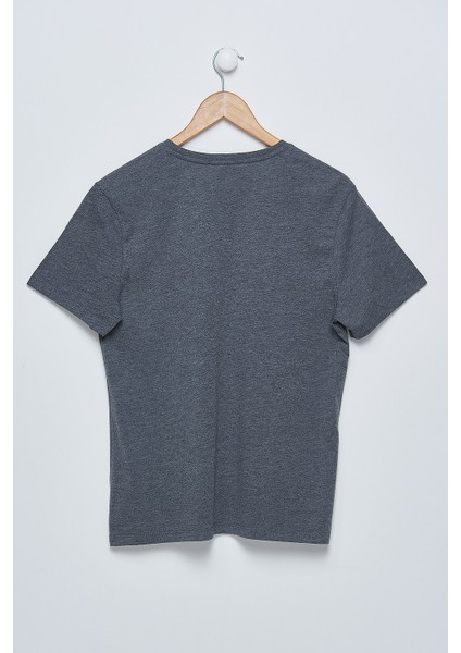 Erkek Gri V Yaka T-Shirt fiyatları
