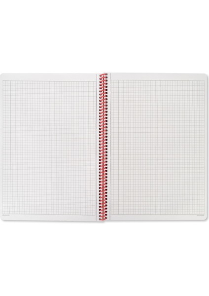 A4 Kareli Defter Animal Friends - Hayvanlar