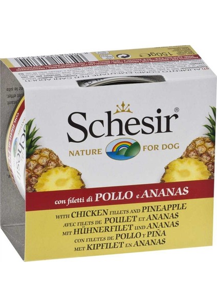 Tavuklu Ananaslı Köpek Konservesi 150 gr 2'li Set Idili