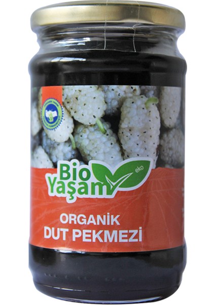 Bio Yaşam  Dut Pekmezi 380 gr