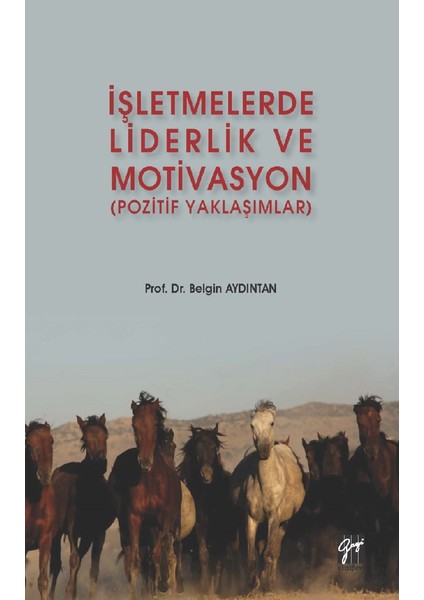 Işletmelerde Liderlik ve Motivasyon (Pozitif Yaklaşımlar) - Belgin Aydıntan