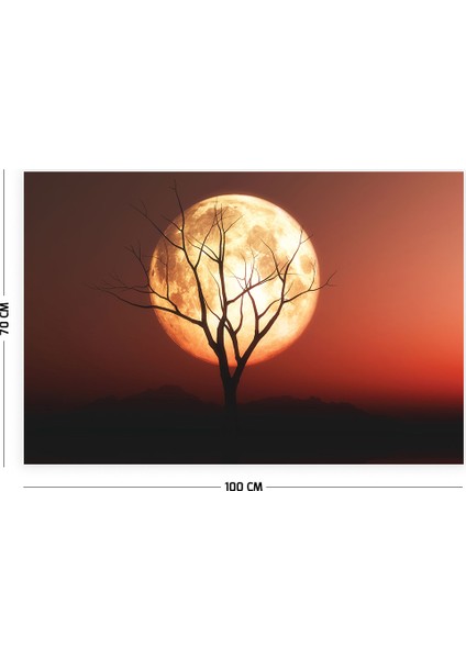 Dolunay Manzara Duvar Örtüsü Halısı 70 x 100 cm fiyatları