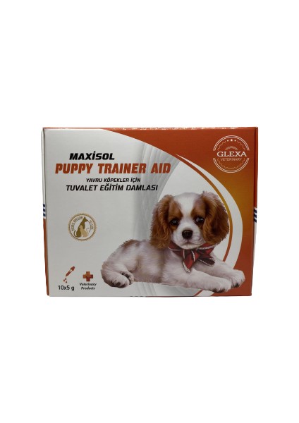 Maxisol Puppy Trainner Aid