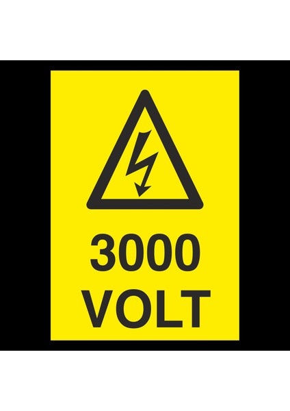 3000 Volt 20 x 30 cm