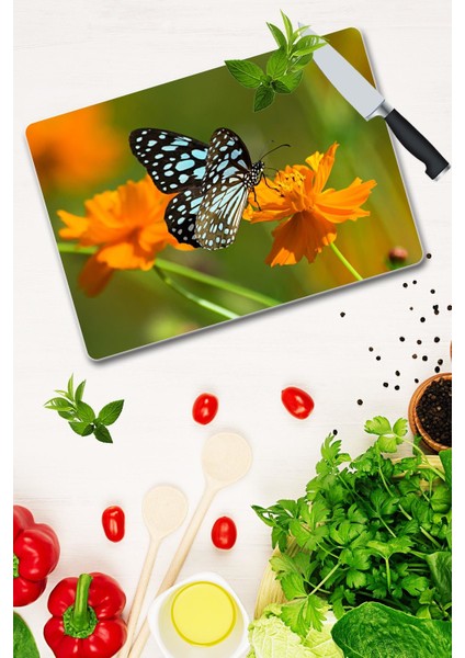 Cam Kesme Tahtası - Cam Kesme Tablası Model 60 30 cm x 40 cm fiyatları