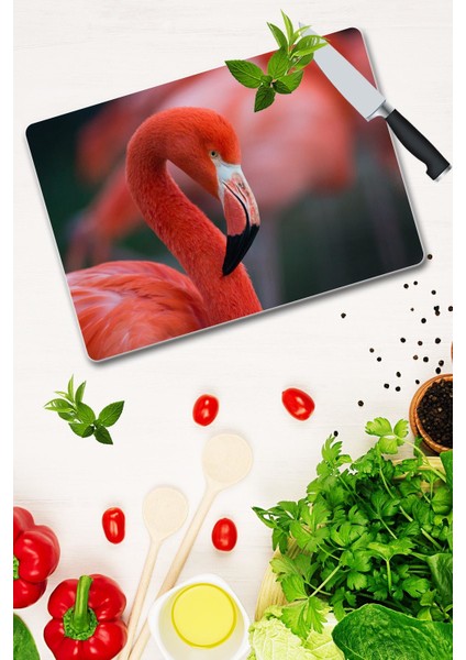 Cam Kesme Tahtası - Cam Kesme Tablası Model 70 30 cm x 40 cm fiyatları