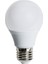 9W LED Ampul E-27 Yeşil 1