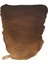 Tablet Sulu Boya Burnt Umber 2