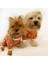 Sunny Penye Tulum Köpek Tulumu Köpek Elbisesi 5