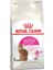 Exigent 35/30 Kuru Kedi Maması 2 kg 2'li Set Idili 1