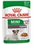 Mini Ageing +12 Soslu Köpek Konservesi 85 gr Idili 1