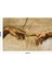 Michelangelo Eller Duvar Örtüsü Halısı 150 x 100 cm 2