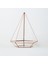 Bakır Rose Gold Geometrik Teraryum Prizma Cam Fanus 26X21X21CM 4