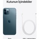 iPhone 12 Pro Max 256 GB iPhone 12 Pro Max 256 GB
