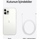 iPhone 12 Pro Max 256 GB iPhone 12 Pro Max 256 GB