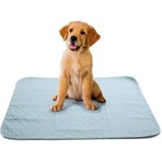 Abso 4 Katlı Yıkanabilir Emici Koku Yapmaz Köpek Çiş Pedi 75 x 85 cm