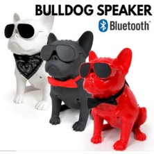 Paleon PLN-CH-M11-S Bulldog  Bluetooth Hoparlör