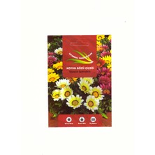 Istanbul Tohumculuk Koyun Gözü Çiçeği