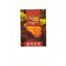 Istanbul Tohumculuk Horozibiği-Balta Çiçeği