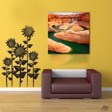 Technopa Kayalar ve Nehir Kanvas Tablo 110 x 110 cm